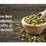 Some Best Medicinal Benefits of Cardamom